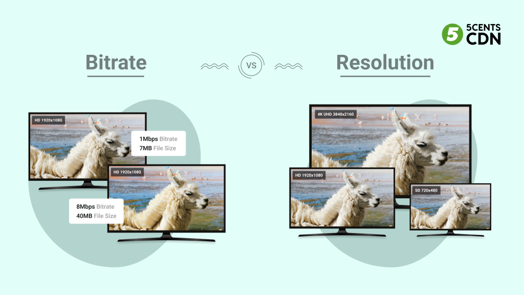 Bitrate vs. Resolution: A Common Misconception
