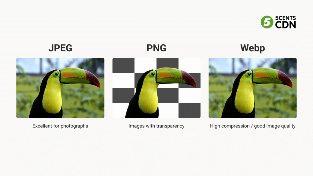 Choosing the Right Image Format