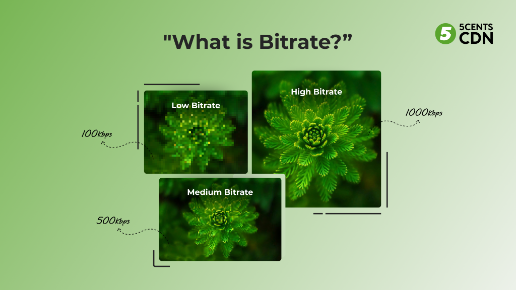 What is Bitrate?